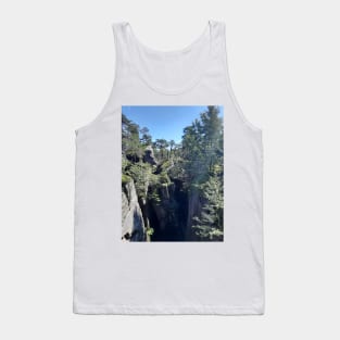 Crater in the forest Tank Top